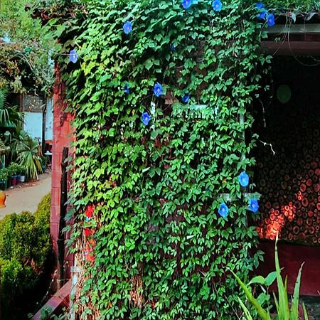 Panchobon Art Resort Shantiniketan Bagian luar foto